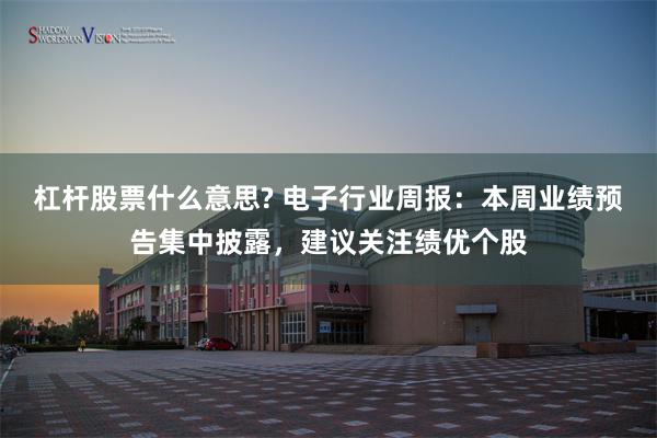 杠杆股票什么意思? 电子行业周报：本周业绩预告集中披露，建议关注绩优个股