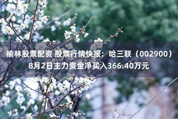 榆林股票配资 股票行情快报：哈三联（002900）8月2日主力资金净买入366.40万元