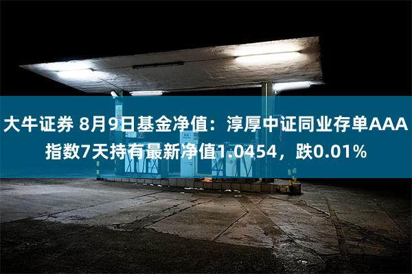 大牛证券 8月9日基金净值：淳厚中证同业存单AAA指数7天持有最新净值1.0454，跌0.01%