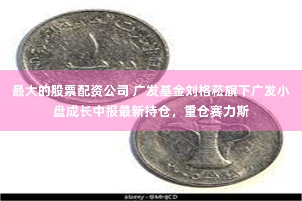 最大的股票配资公司 广发基金刘格菘旗下广发小盘成长中报最新持仓，重仓赛力斯