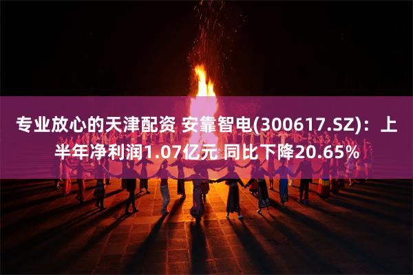 专业放心的天津配资 安靠智电(300617.SZ)：上半年净利润1.07亿元 同比下降20.65%