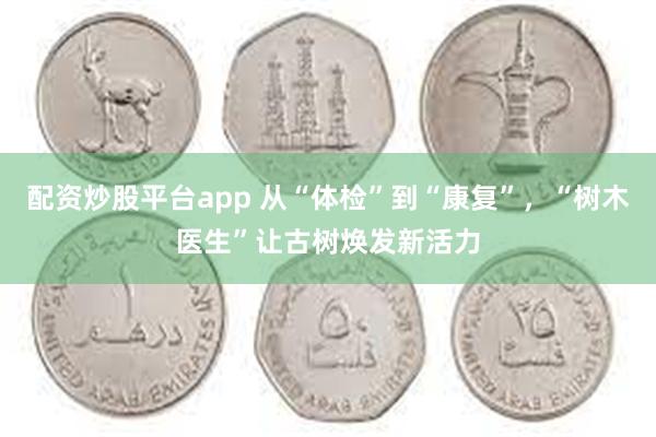 配资炒股平台app 从“体检”到“康复”，“树木医生”让古树焕发新活力