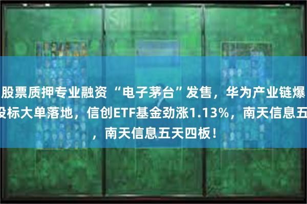 股票质押专业融资 “电子茅台”发售，华为产业链爆发！招投标大单落地，信创ETF基金劲涨1.13%，南天信息五天四板！