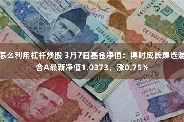 怎么利用杠杆炒股 3月7日基金净值：博时成长臻选混合A最新净值1.0373，涨0.75%